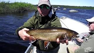 "Crooks Lake Fever" - World Class Brook Trout on the Fly - Crooks Lake Lodge, Labrador