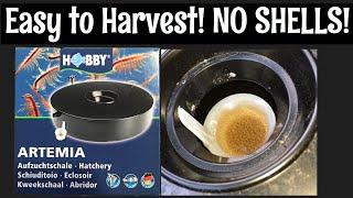 The Best Brine Shrimp Hatchery?