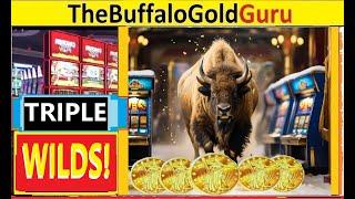 TRIPLE WILDS on BUFFALO GOLD!  LOVE IT!