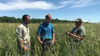  Gabe Brown’s Most Profitable Crop & Understanding Regenerative Agriculture