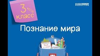 Познание мира. 3 класс. Духовные ценности моей семьи /13.01.2021/