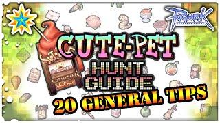 Ragnarok Online - Cute Pet Hunt Guide! 20 General Tips before hunting! LUCKY STAR