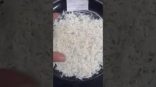 1509 Indian basmati sella rice