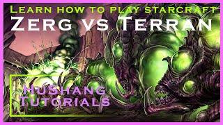 Zerg vs Terran | Beginner Build Order