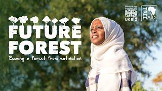 Saving a forest from extinction: Tree Aid's Future Forest appeal