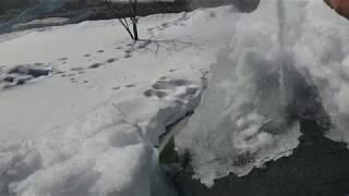 Almost Free DIY Ice Dam Removal