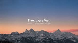 You are holy - Jesus Image | Instrumental Worship | Soaking Music | Deep Prayer