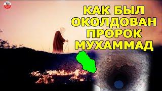 КТО НАВЕЛ ПОРЧУ НА ПРОРОКА МУХАММАДА? КАК ПРОРОК ИЗБАВИЛСЯ ОТ ПОРЧИ?