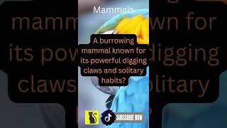 Amazing Animal Facts Unveiled Mammal Bird Reptile Fish Amphibian Discover unknow | Like & Subscribe