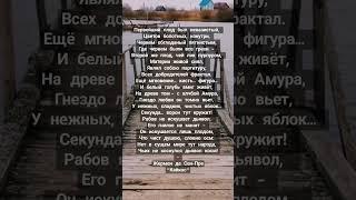 Жермен де Сен-Пре "Кайкос" #shorts #литература #цитаты #книги #философия #проза #душа #лирика #любов