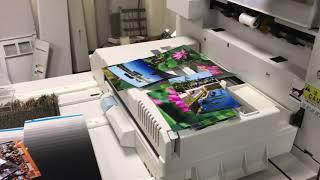 used Noritsu  QSS 3704 g in printing action