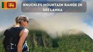 Exploring the Biodiversity of Knuckles Mountain Range in Sri Lanka