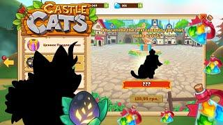 Обновление Castle Cats