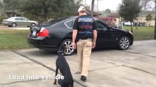 Doberman "Jax" Amazing Obedience | Owner Testimonial | Baton Rouge Dog Trainers