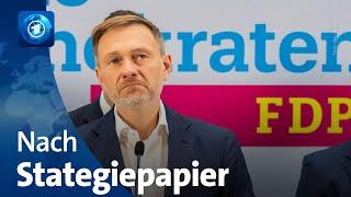 FDP: So geht es mit der Partei weiter nach dem umstrittenen Strategiepapier