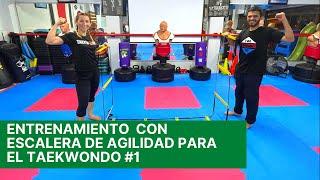 Entrenamiento (clase)  con escalera de agilidad para el Taekwondo #1