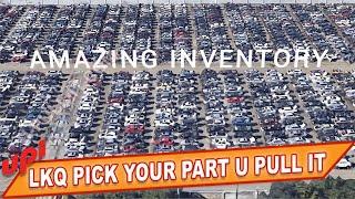 LKQ PICK YOUR PART U PULL IT JUNKYARD INVENTORY OF JUNK CARS