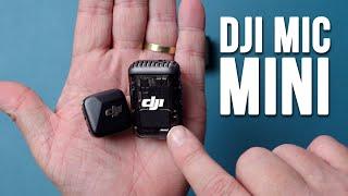 DJI Mic Mini: The best compact wireless microphone? Comparison with DJI Mic 2 & Lark M2!