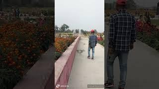 Debargaon Garden //B.V.Narzary #&??