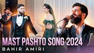 New Afghan Song 2024 | Afghan Wedding | Mast Pashto Song | Afghan Bride & Groom