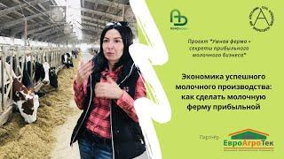 Экономика успешного молочного производства: как сделать молочную ферму прибыльной