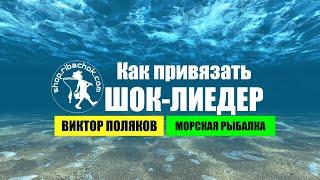  Как привязать ШОК-ЛИДЕР к леске  Виктор Поляков | Морская Рыбалка