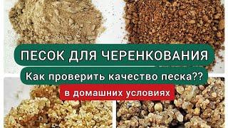 Песок для черенкования|Проверяем подходит ли песок, который у нас есть для растений.Эксперимент дома