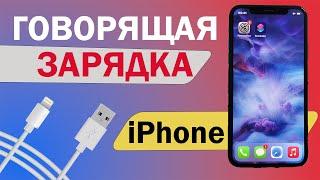 Говорящая зарядка на Айфон iPhone