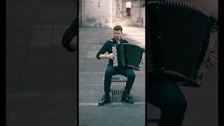 Toccata & Fugue in D Minor by Bach #music #accordionplayer #classicalcomposer #bwv565 #musician