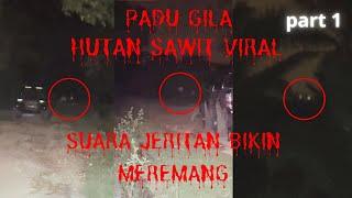 PADU GILA ((HUTAN SAWIT VIRAL)) PARANORMAL DZP DAUZ COLLAB ARAZZ PARA PART 1/3