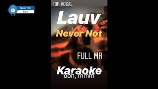 Lauv - Never Not - For Vocal Backing Track - Karaoke - mr