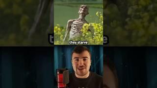 The Dumbest Zombie Movie Ever Made..