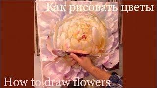 Пион. Быстрый этюд. Как рисовать цветы маслом. Peony. How to draw flowers