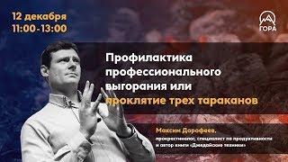 Билайн Университет – Максим Дорофеев о проклятии трёх тараканов