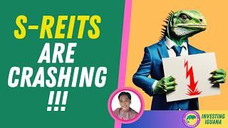 Why Singapore REITs Are Crashing? |  #TheInvestingIguana EP590