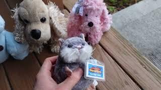 Webkinz Thrift finds from 2024 + ranting about my house