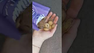 Milka mini cookies  #asmr #shots #chocolate #candy #cookies #shorts #short