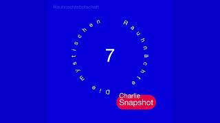 Charlie Snapshot Special - Rauhnacht 7  - #Rauhnächte #Orakel