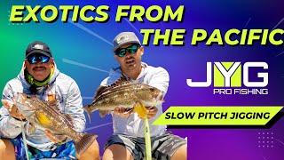 EXOTICS FROM THE PACIFIC OCEAN - SLOW PITCH JIGGING - JYG PROFISHING - EP.3 DAY 2