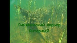 Синявинский карьер