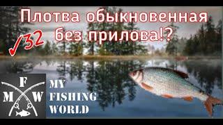 32) My Fishing World Плотва обыкновенная без прилова!?