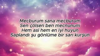 Göksel ipekçi~Mecburum (Lyrics)