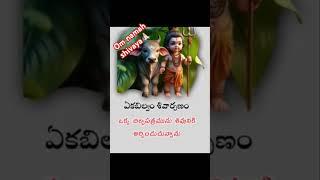 @#tridhalam thrigunakaram #Aka bilvam shivarpanam