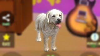 PetDog Game Simulator - Dog Max - Turck Dog - ADV Screen Recorder Redmi 9A Gameplay HD Gamelon