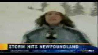 Toni Marie on Newsnet