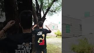 Messho Luffy One Piece Tshirt || #messho #shortvideo #viralshort #tshirt