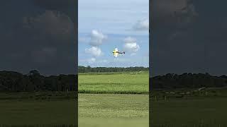 Michael Wargo's jaw-dropping aerobatics with the Katana 60 are a sight to behold! #airplane #rcplane