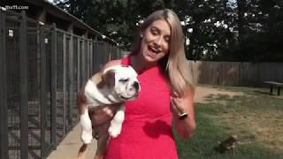 Katlyn Gardenhire says goodbye to THV11 on final day