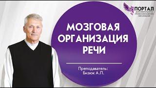 Мозговая организация речи