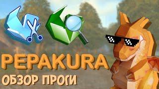 ОБЗОР ПРОГРАММЫ PEPAKURA | СОВЕТЫ